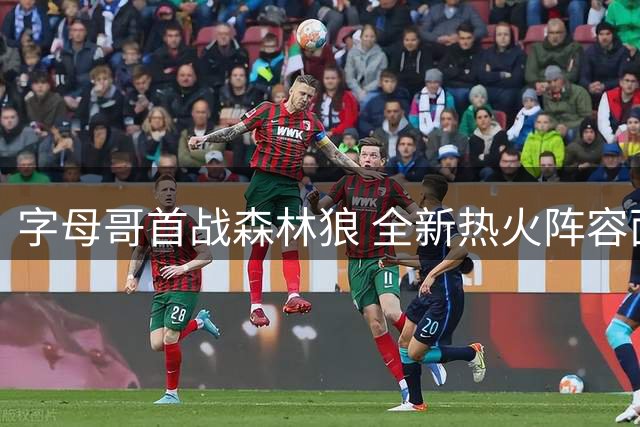 字母哥首战森林狼 全新热火阵容面临大考