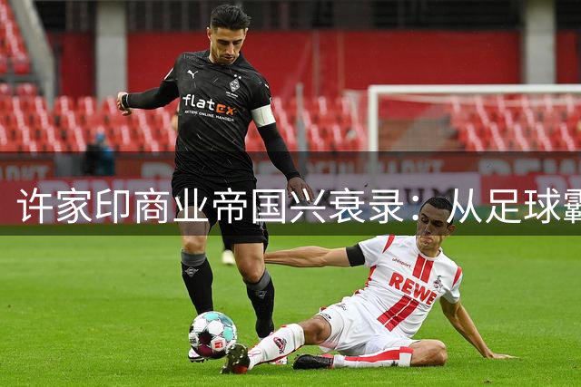 许家印商业帝国兴衰录：从足球霸主到阶下囚