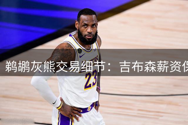鹈鹕灰熊交易细节：吉布森薪资保障大幅提升